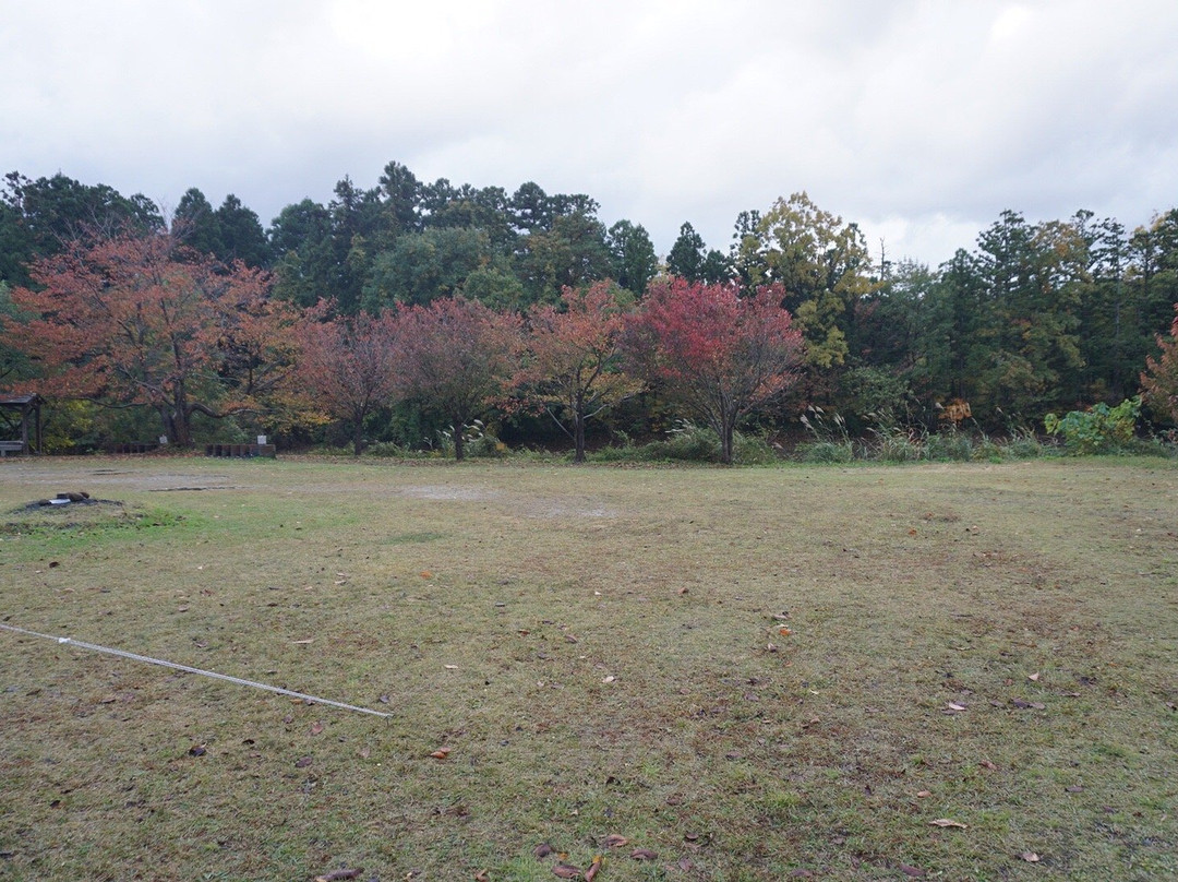 Oike Ikoi no Mori景点图片