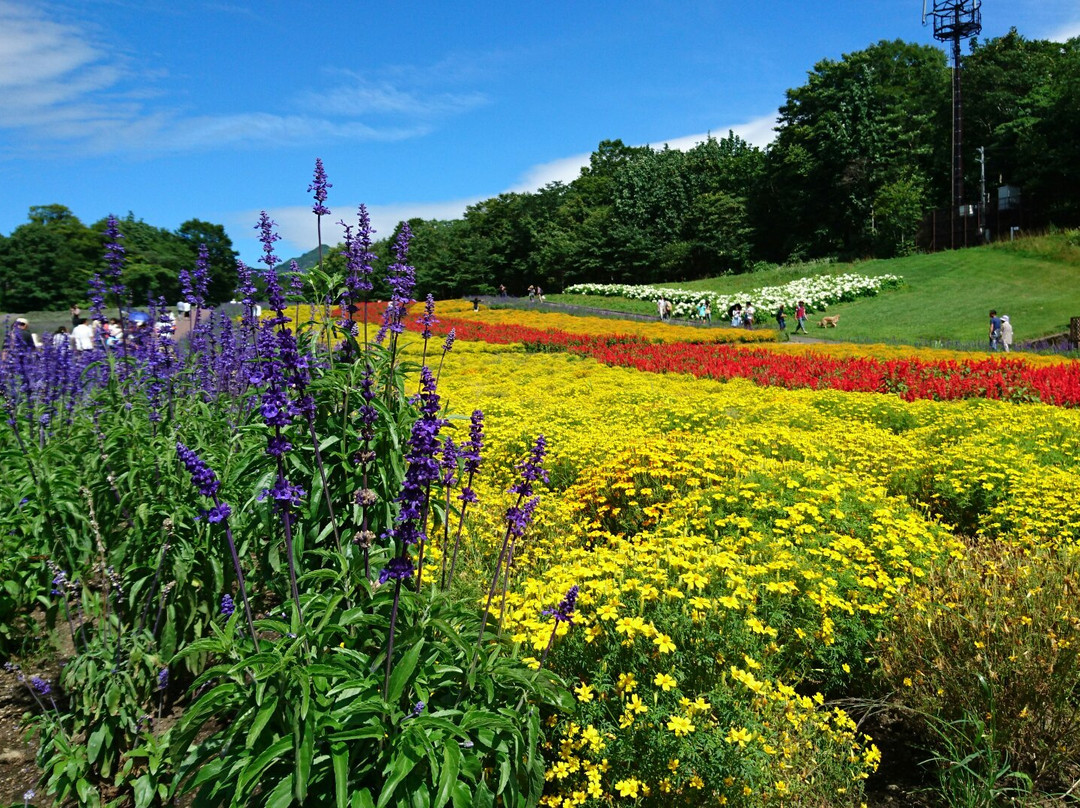 沼田市旅游景点-Tambara Lavender Park