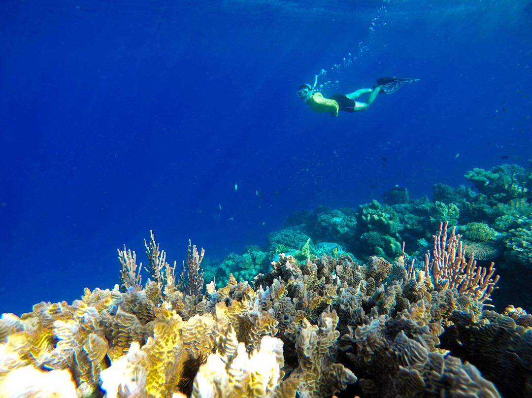 Togean Journey景点图片