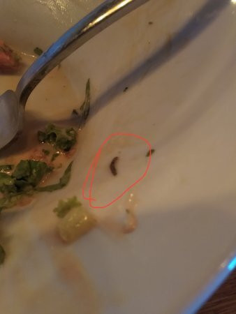 Restaurant Rodina