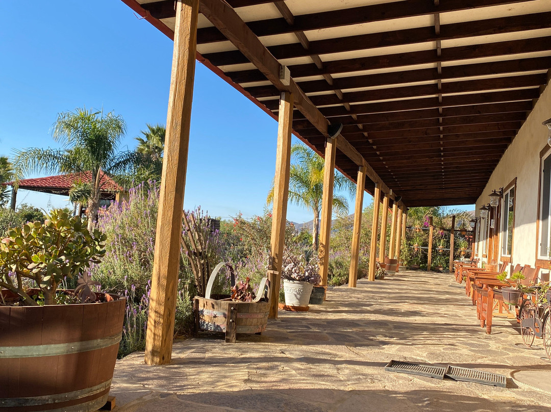 Terra del Valle B&B主图