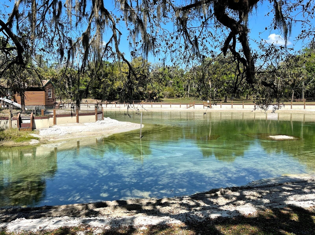 Lithia Springs Park-Lithia必去景点
