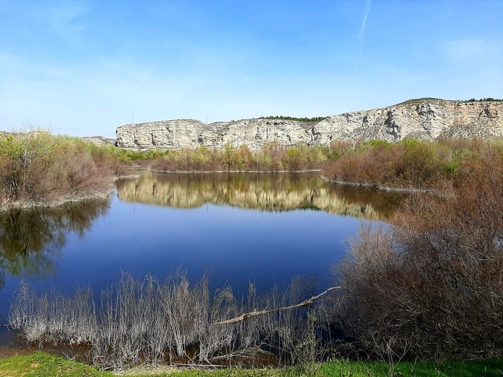 Reserva Natural de Los Galachos de La Alfranca景点图片