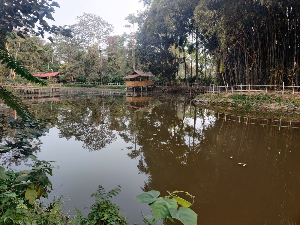 Infinity Resorts Kaziranga主图