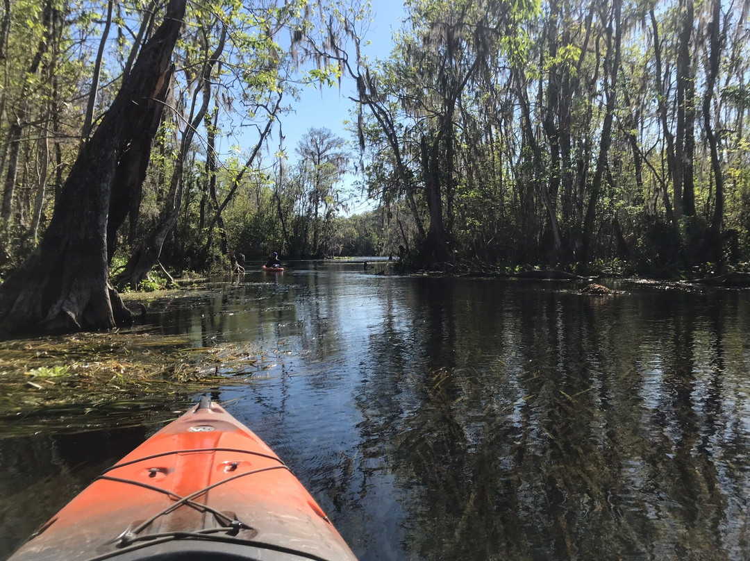 Silver Springs Kayaking LLC-Silver Springs必去景点