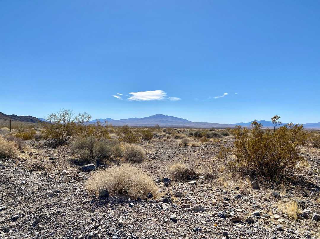 Ash Meadows National Wildlife Refuge-Amargosa Valley必去景点
