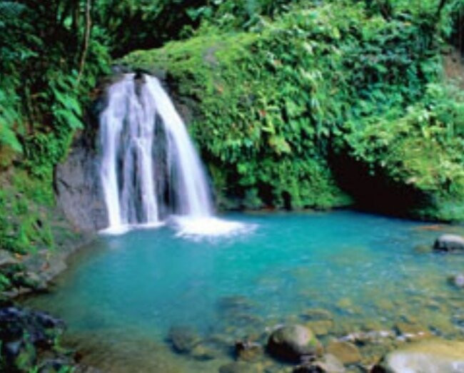 Guadeloupe National Park-Petit-Bourg必去景点