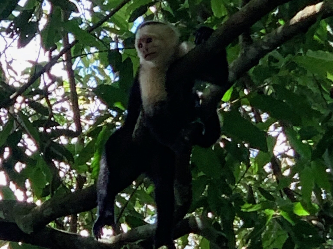 Costa Rica Excursions Travels景点图片