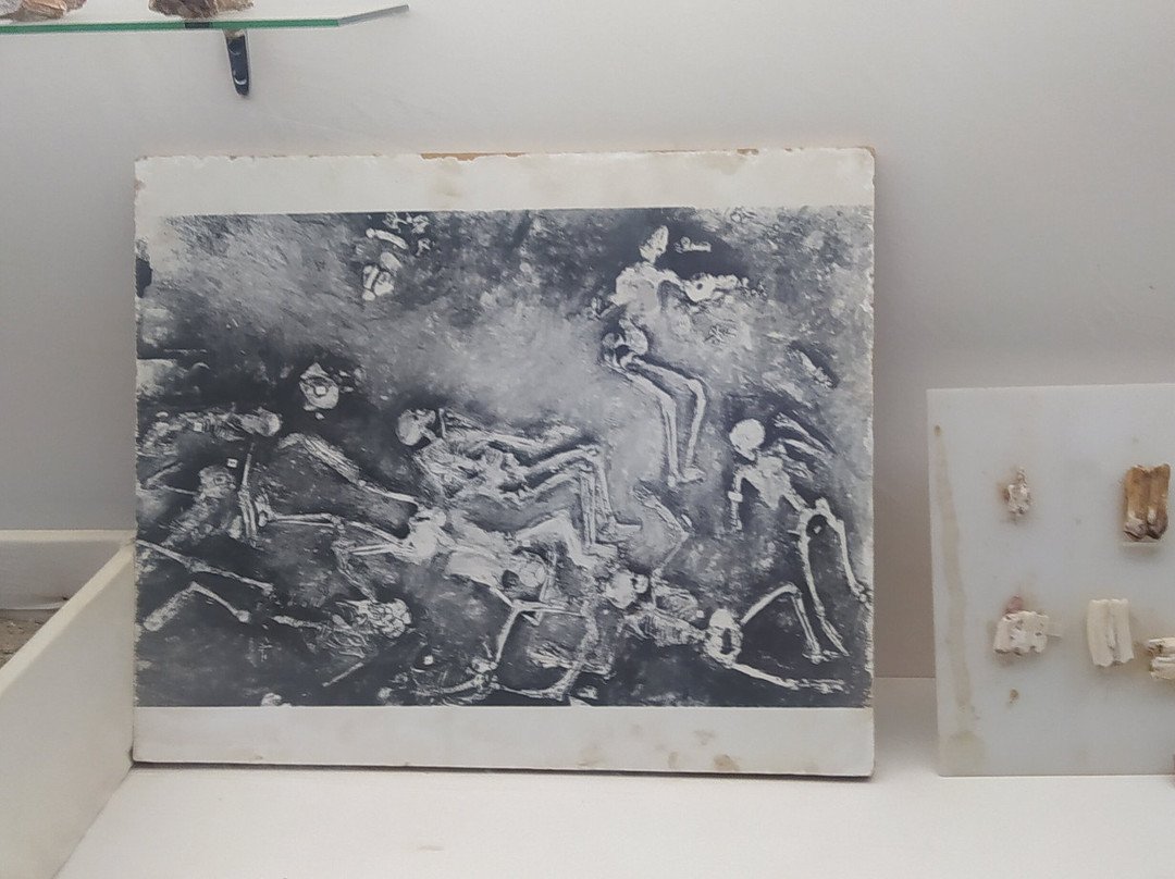 Archaeological Museum Mohenjo Daro-Larkana必去景点