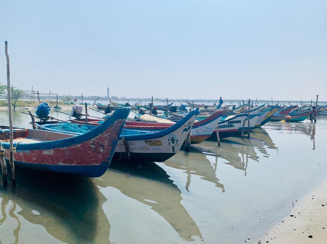 Pulicat Boating - Roy Pulicat Lake Boating景点图片