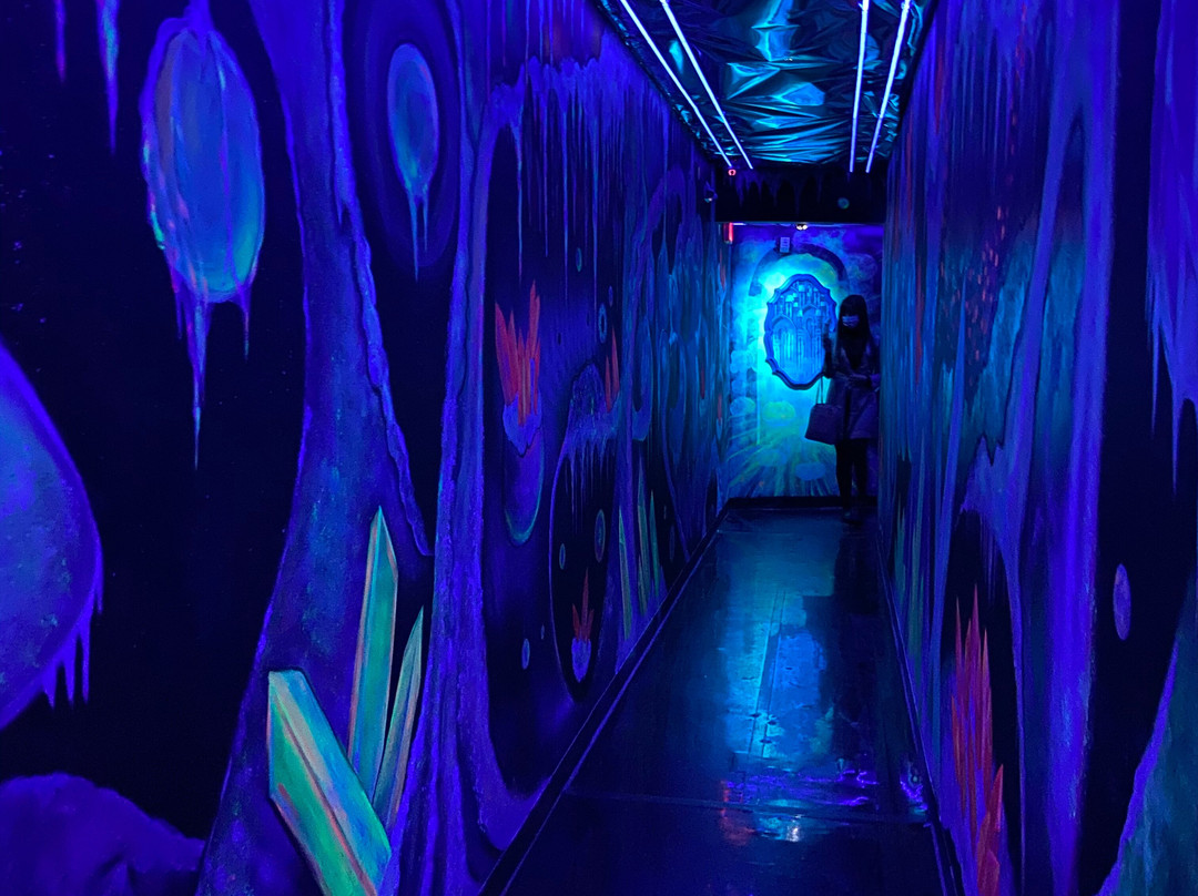 Artechouse DC-华盛顿特区必去景点