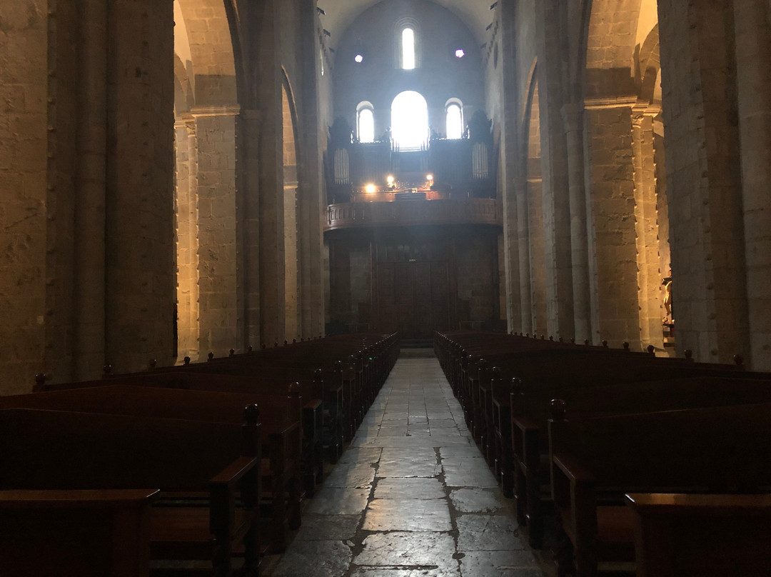 La Seu d'Urgell Cathedral景点图片