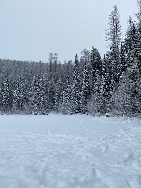 Lion Lake