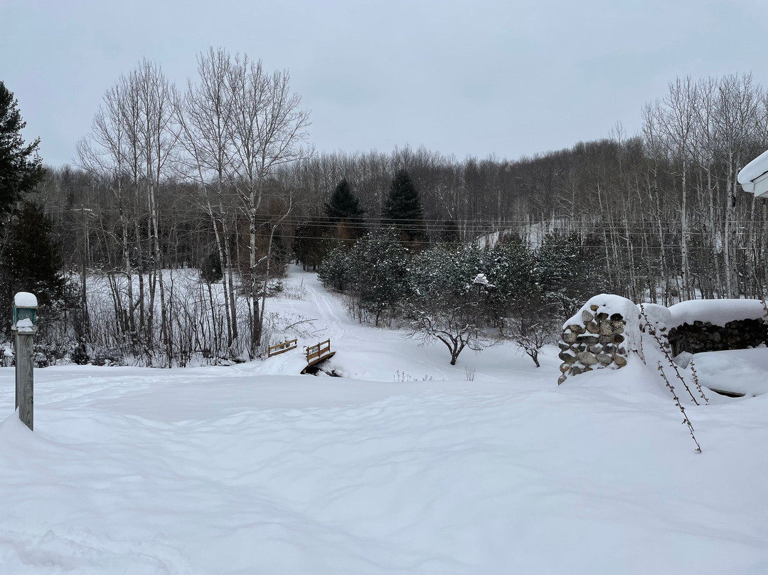 The House on the Hill Bed and Breakfast主图