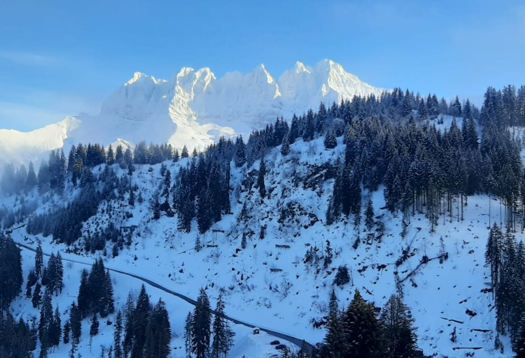 Royal Alpage Club主图