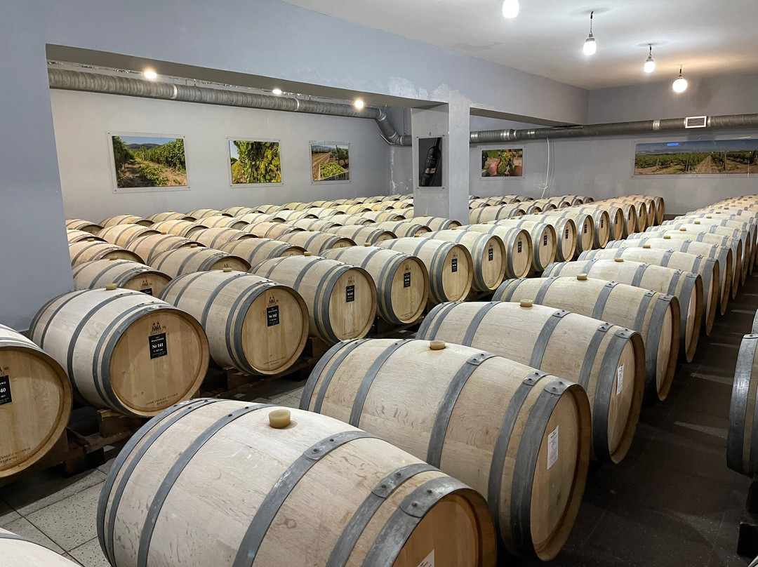 Myskhako Winery-Myskhako必去景点