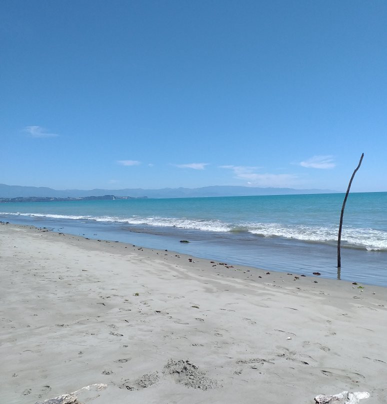 Moturoa / Rabbit Island景点图片