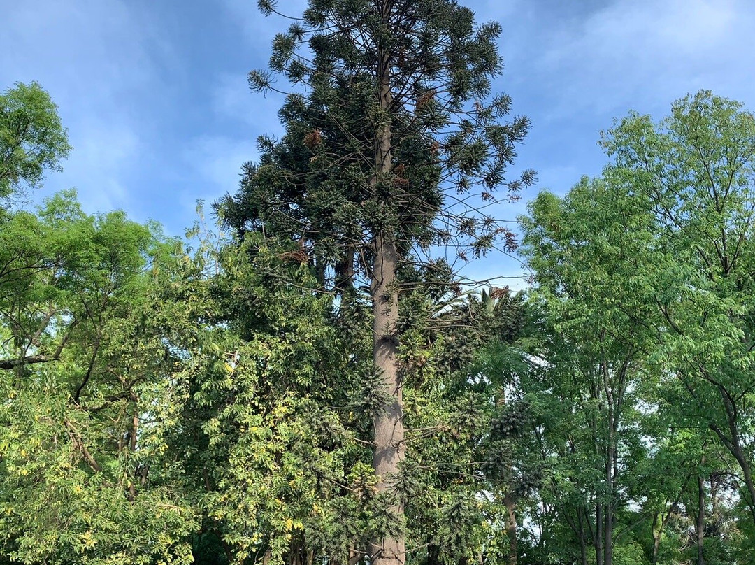 Altar a la Patria-墨西哥城必去景点