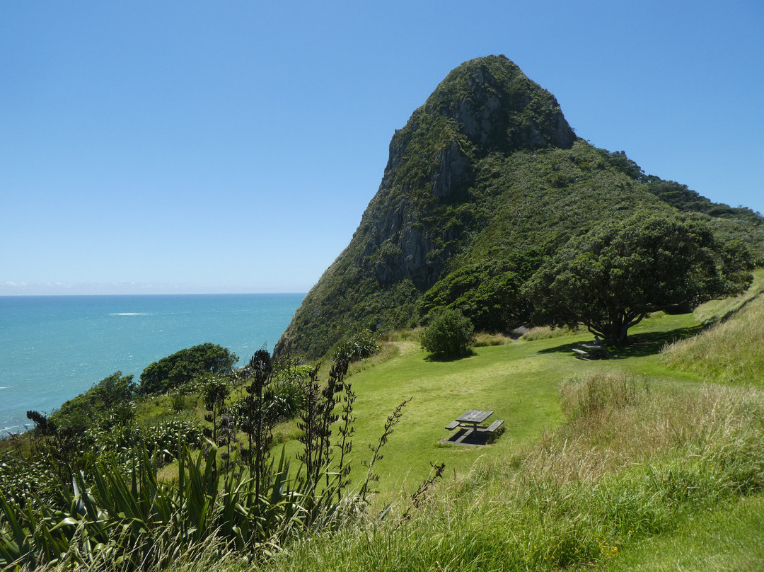 Sugar Loaf Islands and Paritutu Rock景点图片