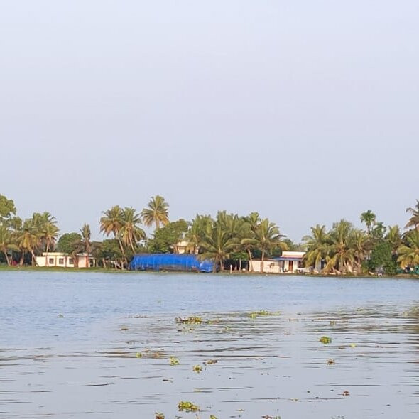 Alappuzha Boat Jetty景点图片