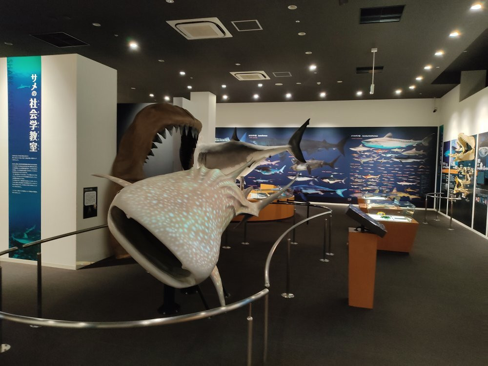 Kesennuma Uminoichi Shark Museum景点图片