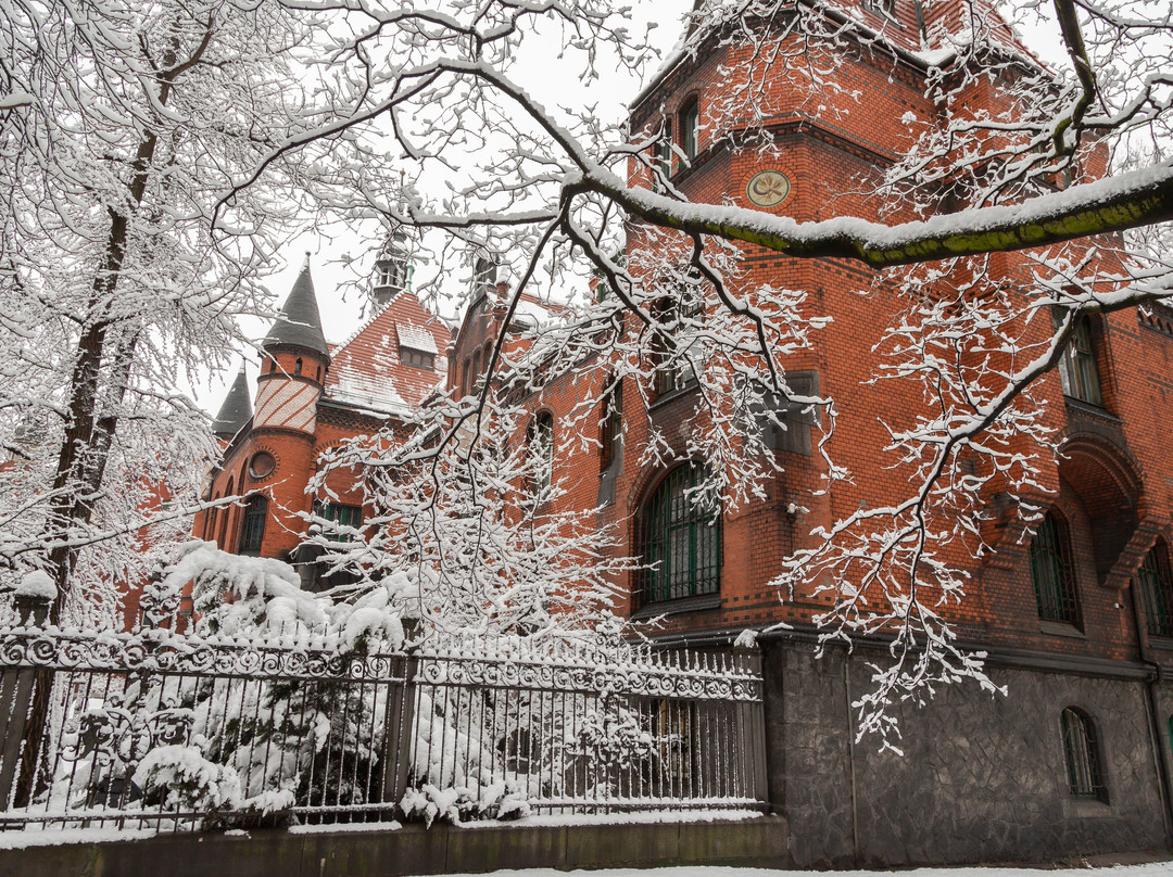Muzeum Górnośląskie-Bytom必去景点