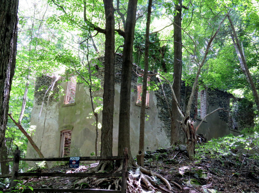 Franny Reese State Park景点图片