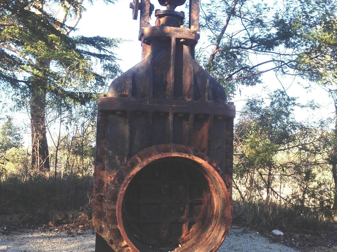 Crusoe Reservoir-Kangaroo Flat必去景点