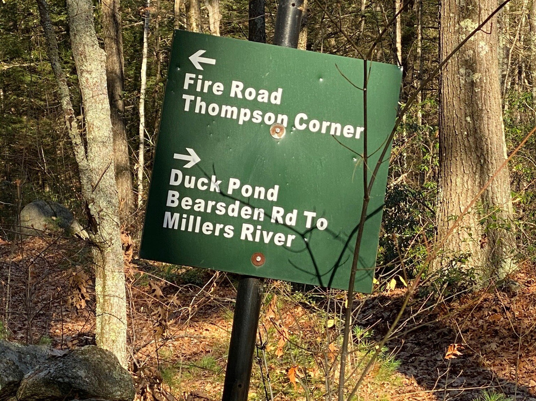 Bearsden Conservation Area-Athol必去景点