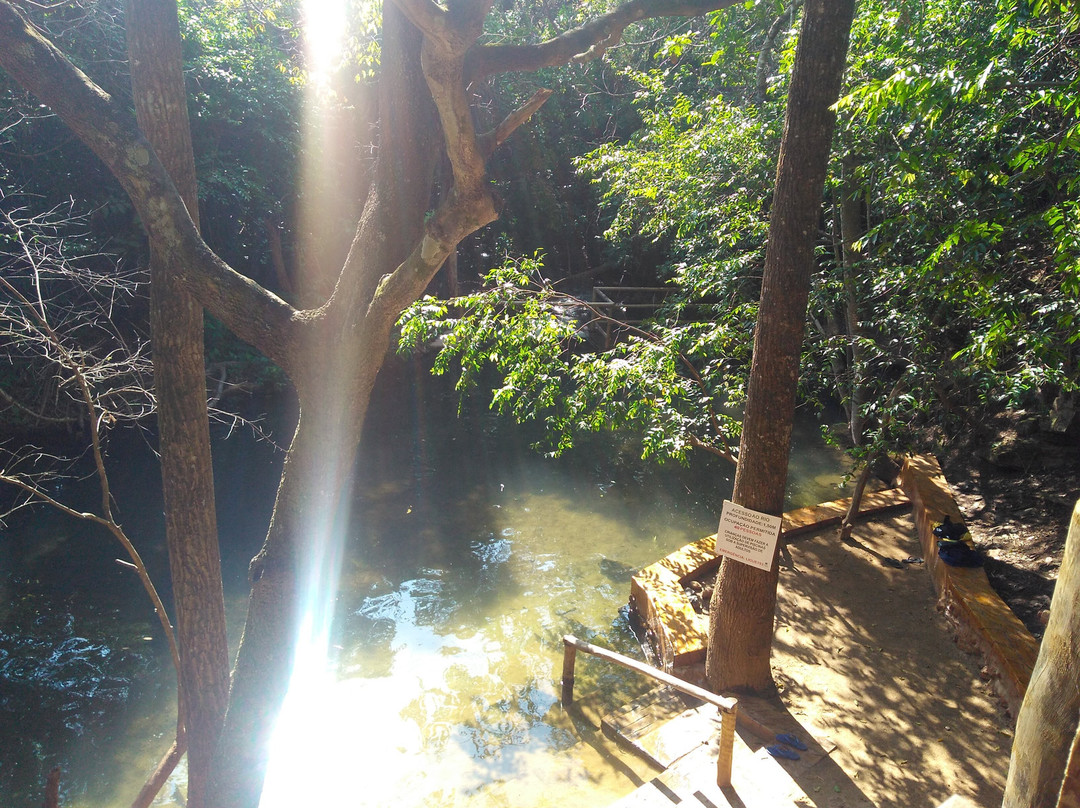 Prime Park Veredas主图