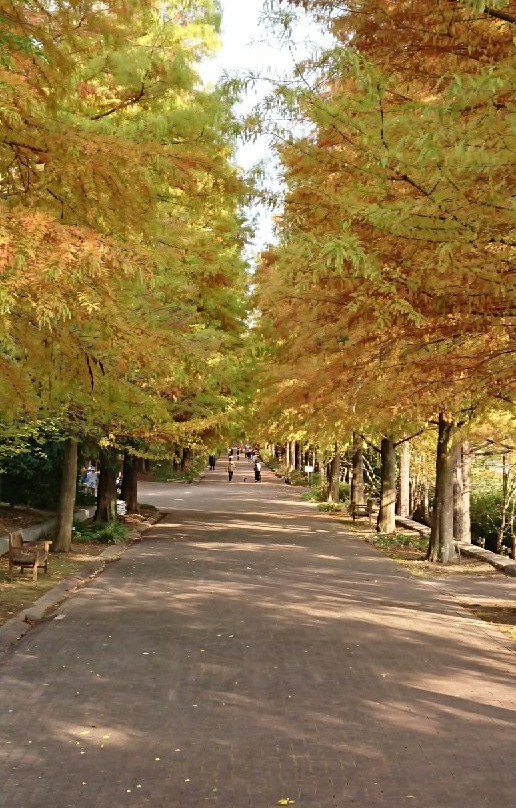 Harima Central Park-加东市必去景点