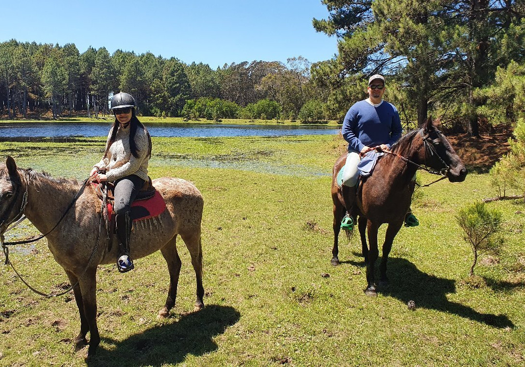 Eco Equus Cabalgatas-La Pedrera必去景点
