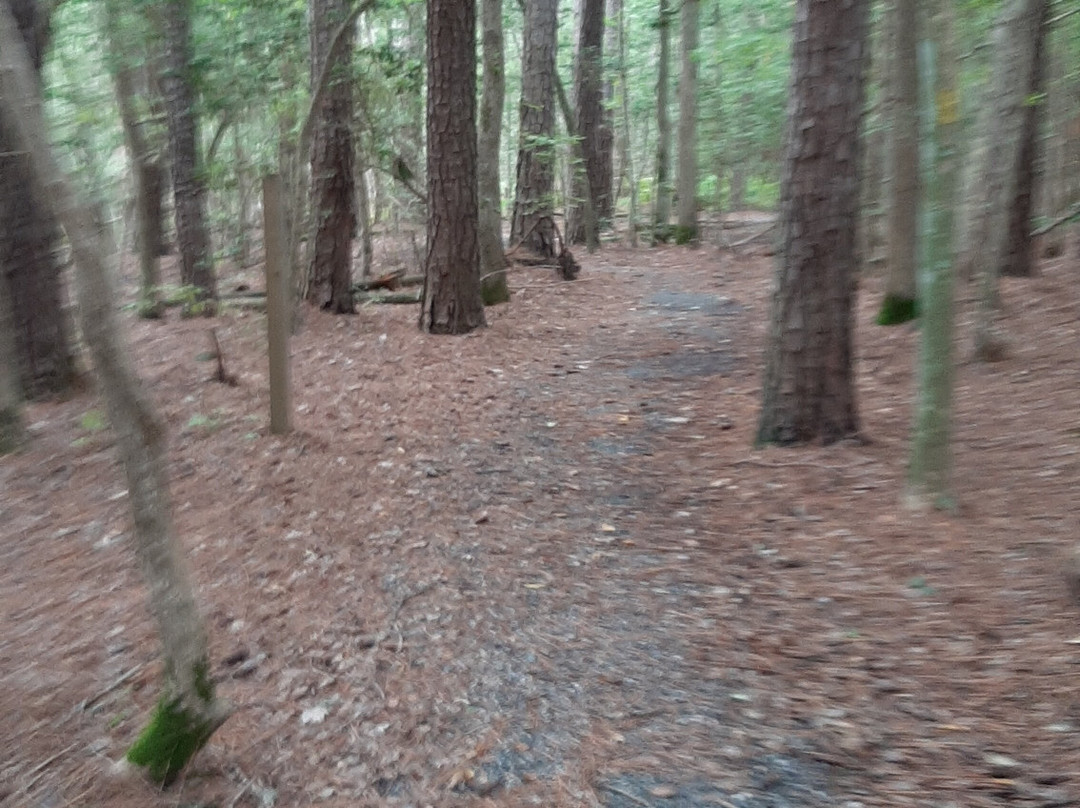 Belle Isle State Park景点图片