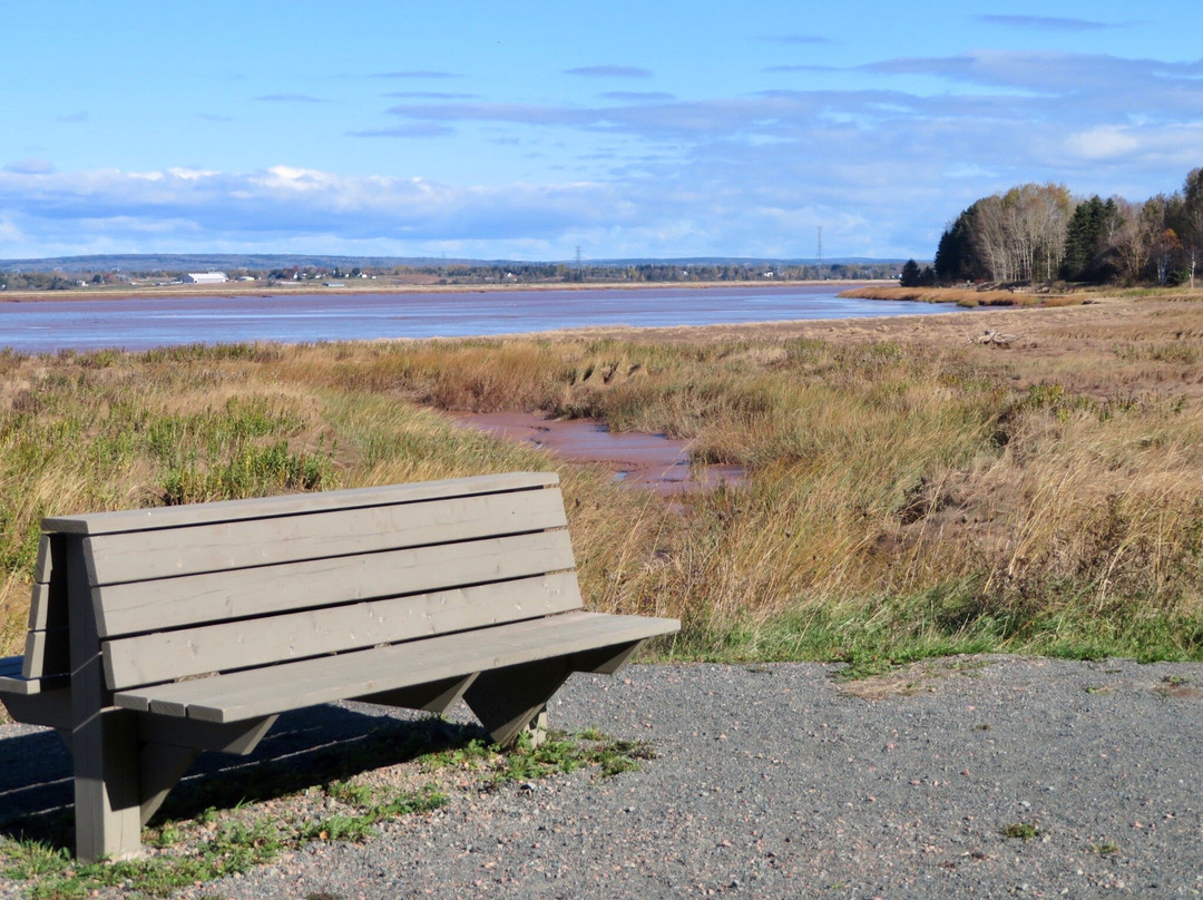 Cobequid Trail景点图片
