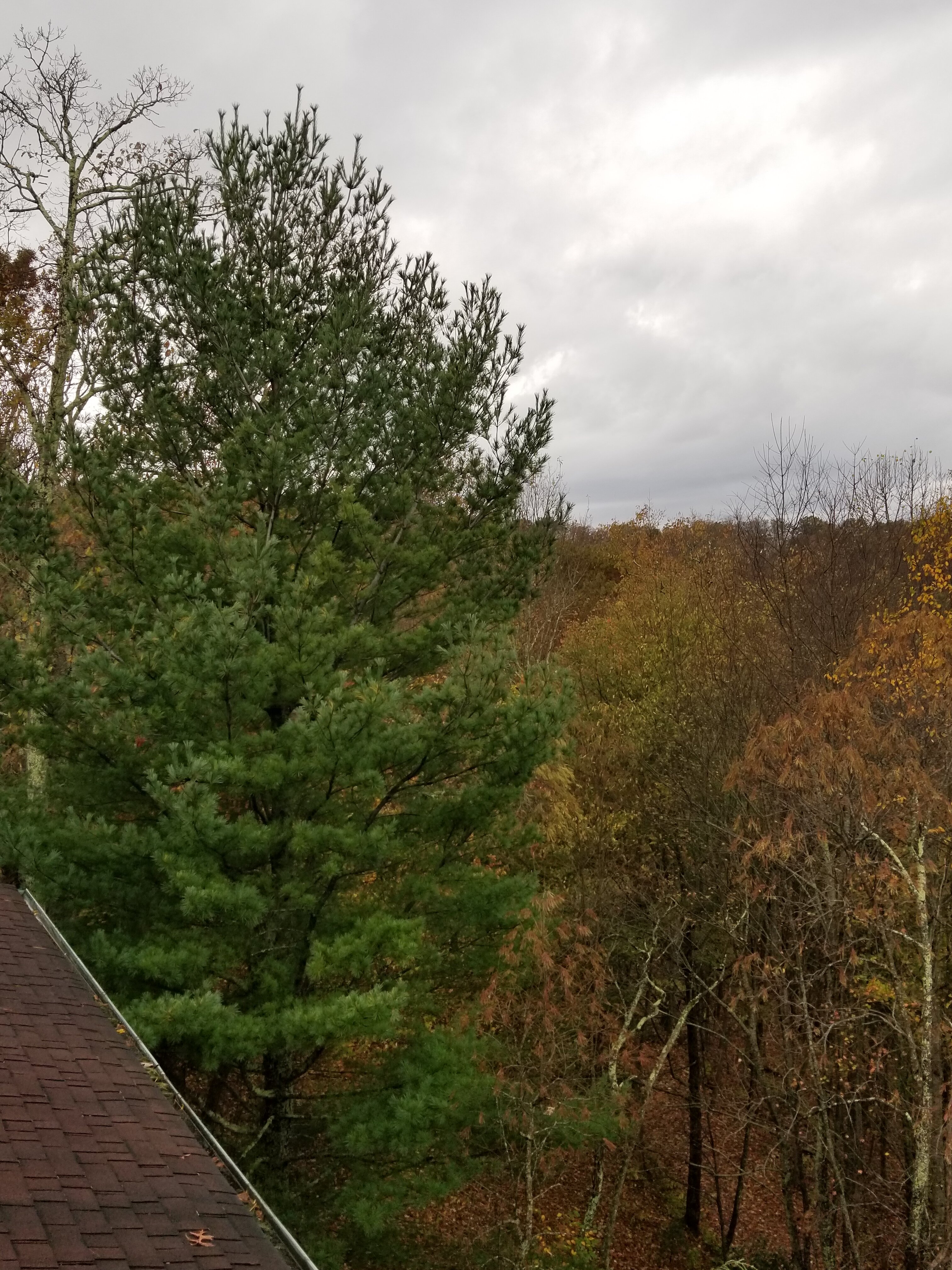 SoHum Mountain Healing Resort-官方