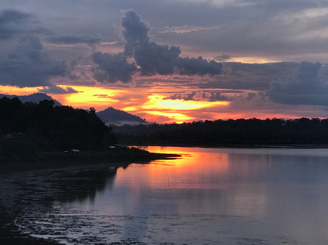 Loagan Bunut National Park-美里必去景点