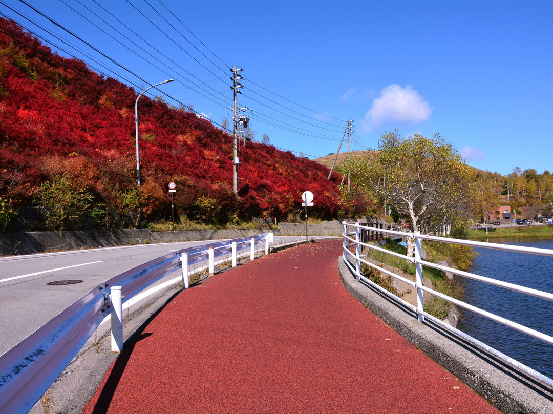 Lake Shirakaba-茅野市必去景点
