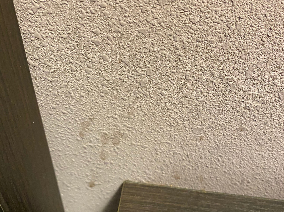 Hampton Inn & Suites Jacksonville/orange Park主图