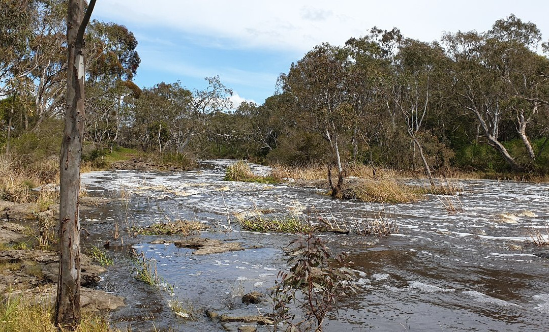 Wannon Falls-哈密尔顿必去景点