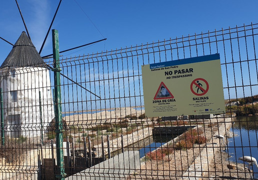 Molino Calcetera-San Pedro del Pinatar必去景点