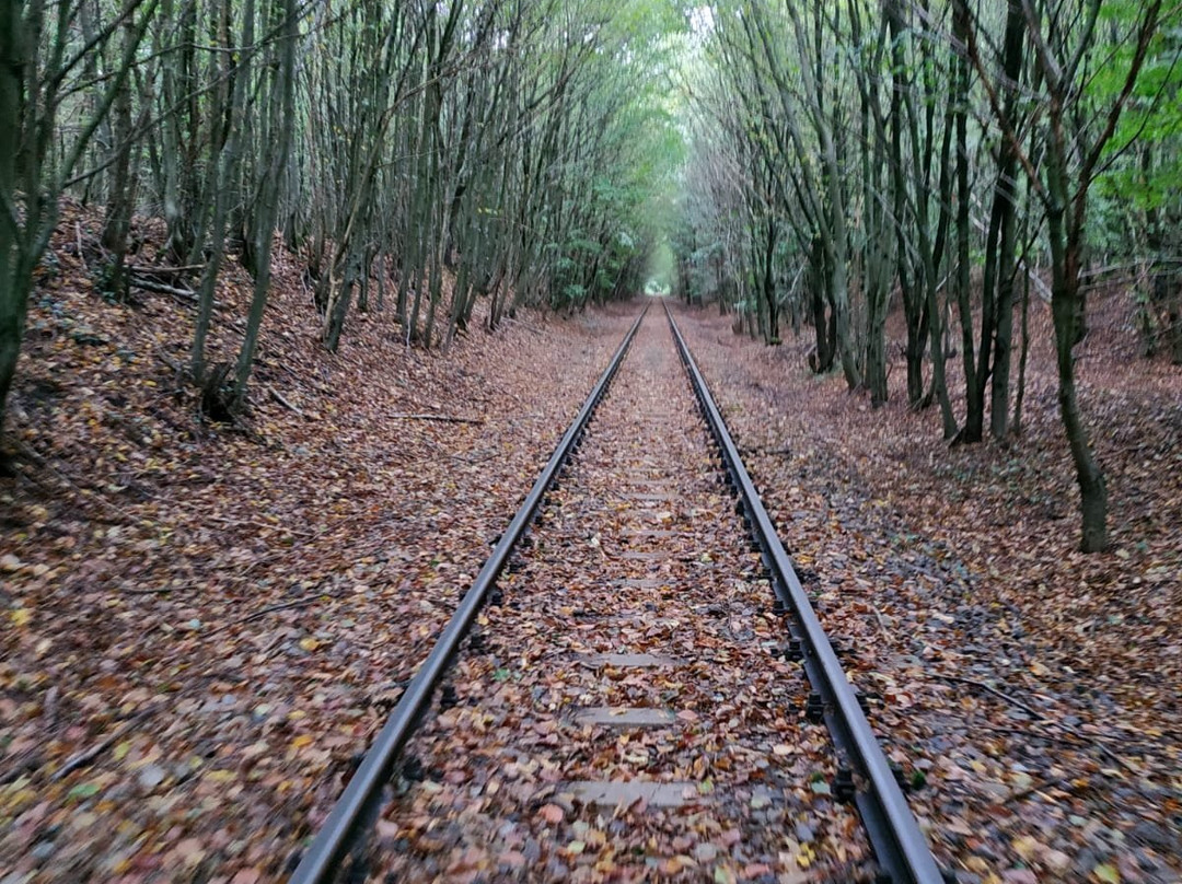 Draisinentour in Mecklenburg景点图片