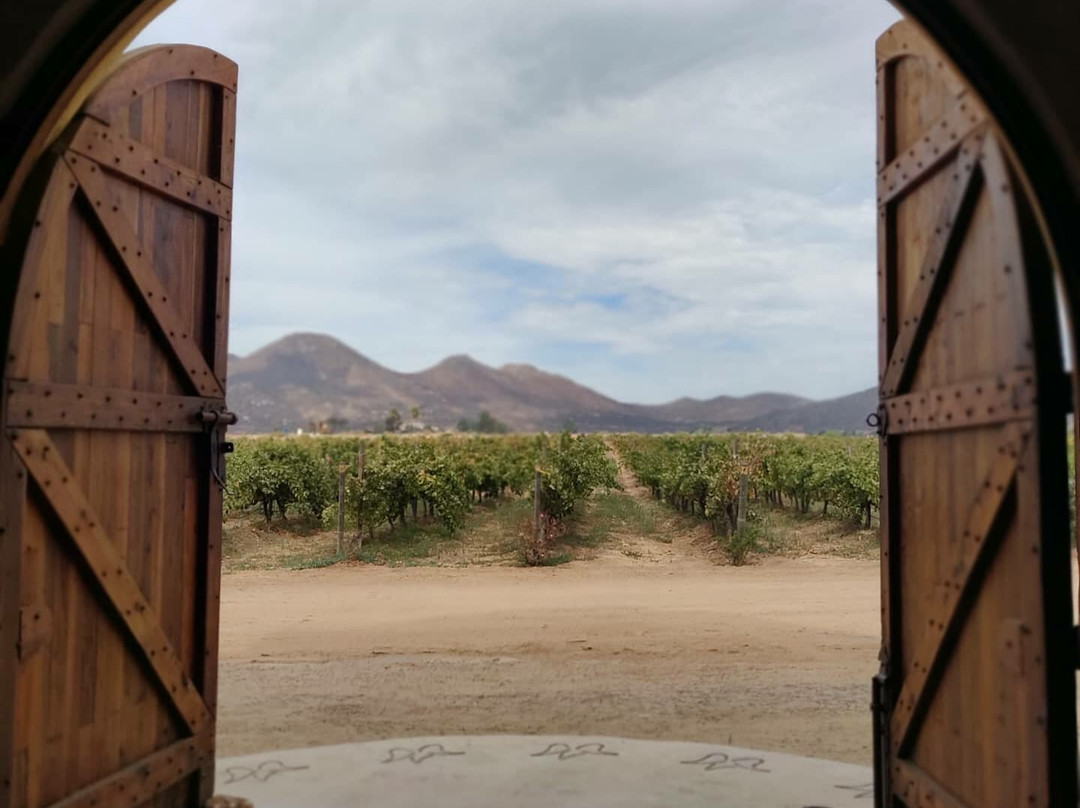 Adobe Guadalupe Vineyards & Inn主图
