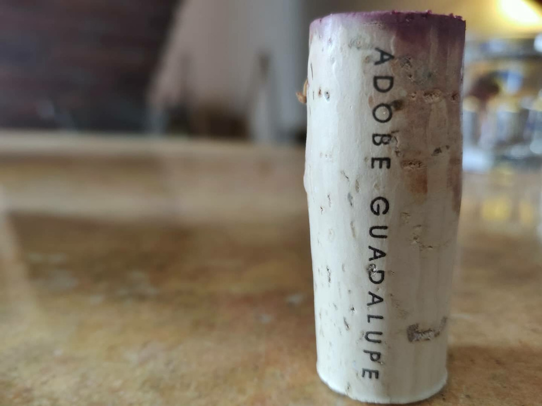 Adobe Guadalupe Vineyards & Inn主图