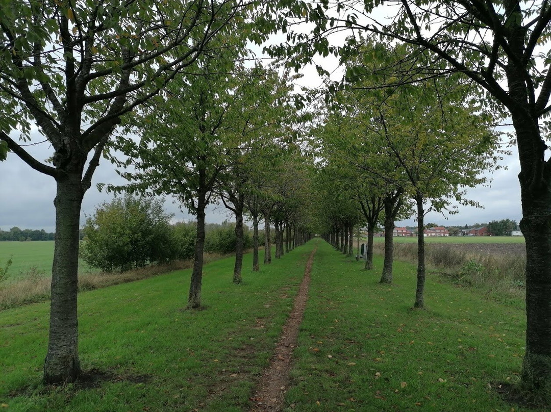 Hageven-De Plateaux-Neerpelt必去景点