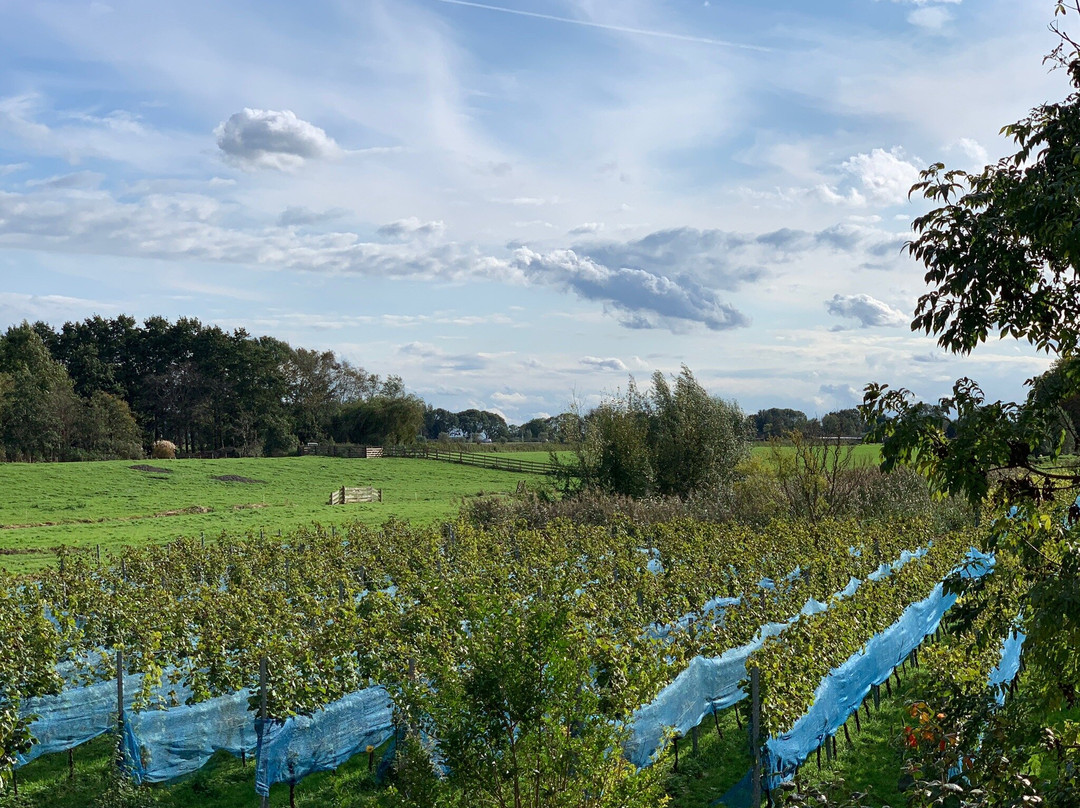 Wijngaard de Amsteltuin景点图片