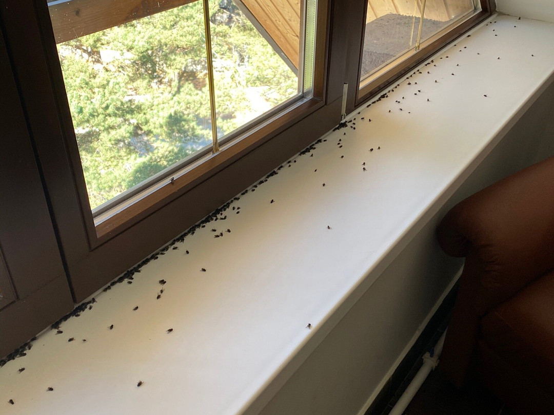 Ozon Cheget Hotel主图