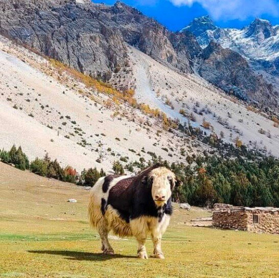 Batura Glacier-罕萨必去景点