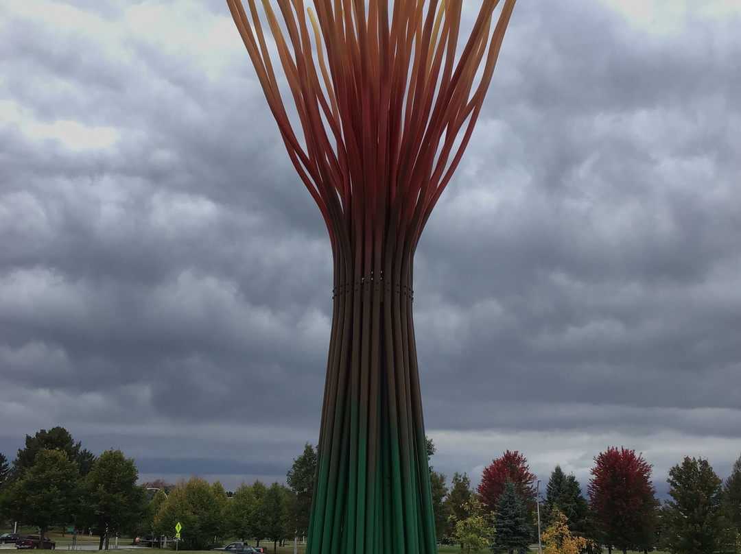 Griffiss International Sculpture Garden and Nature Trail景点图片