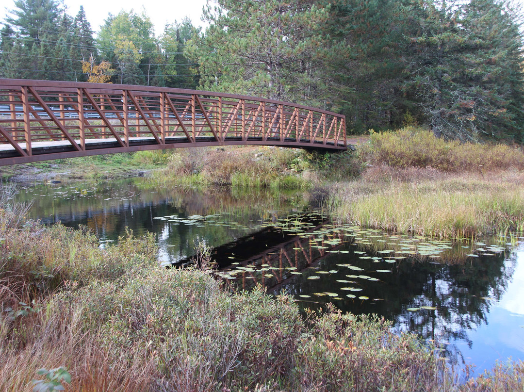 Spruce Bog Boardwalk Trail景点图片