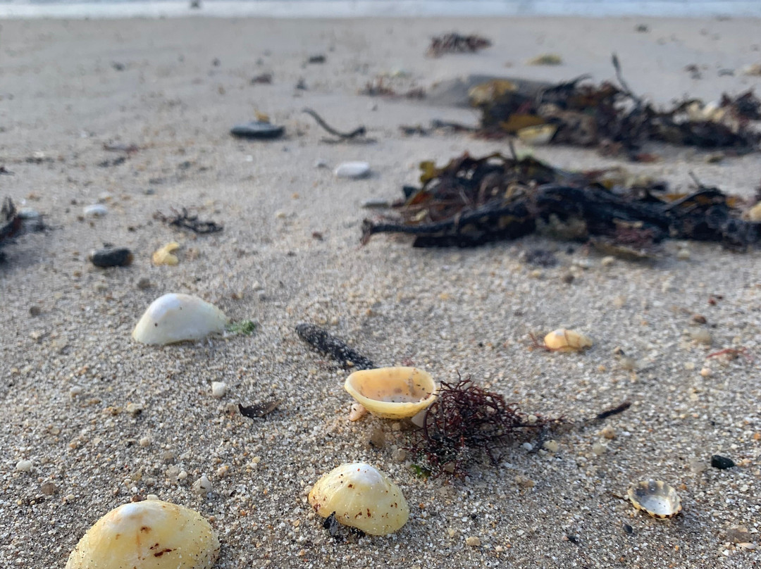 Nancherrow B&B主图